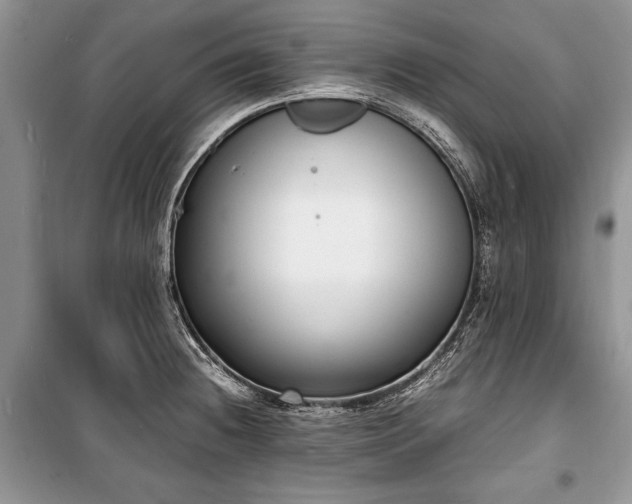 X0000100981236200806241535