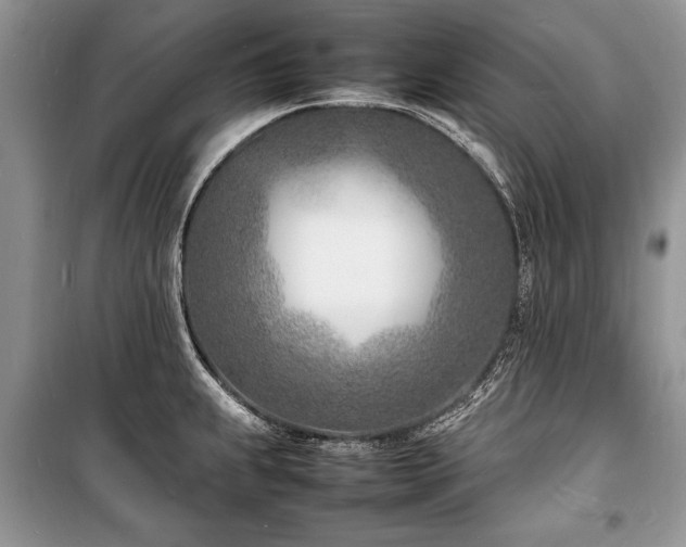 X0000100981239200806241535