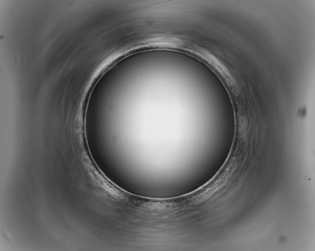 X0000100981240200806241535