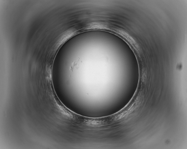X0000100981241200806241535