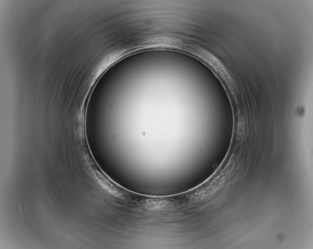 X0000100981242200806241535