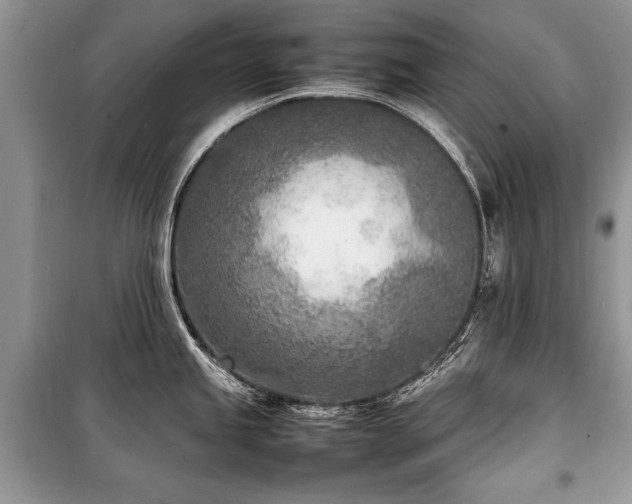 X0000100981245200806241535