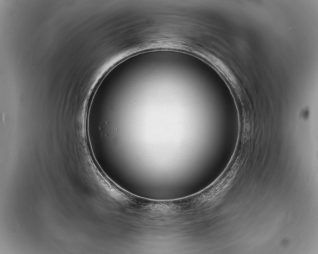 X0000100981246200806241535