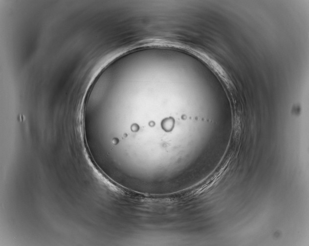X0000100981247200806241535