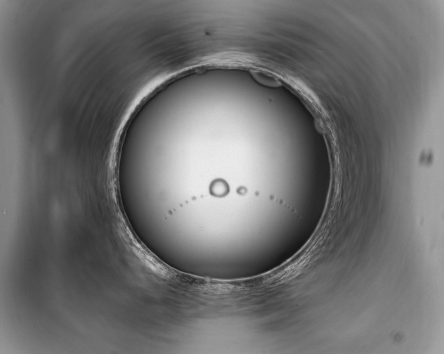 X0000100981248200806241535