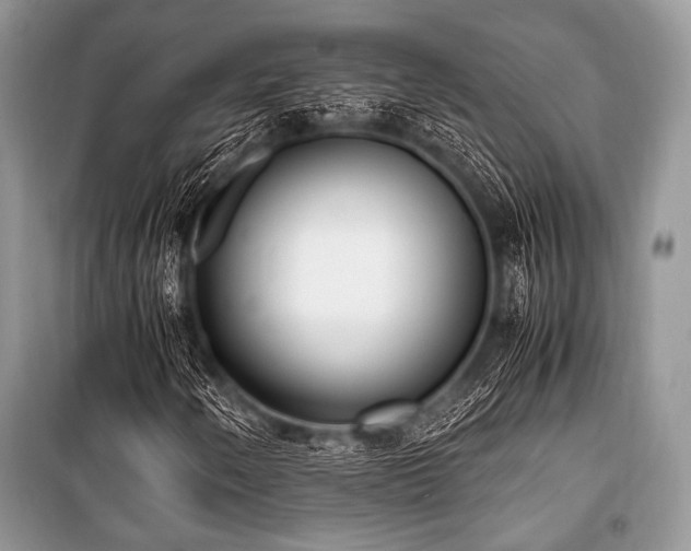 X0000100981250200806241534