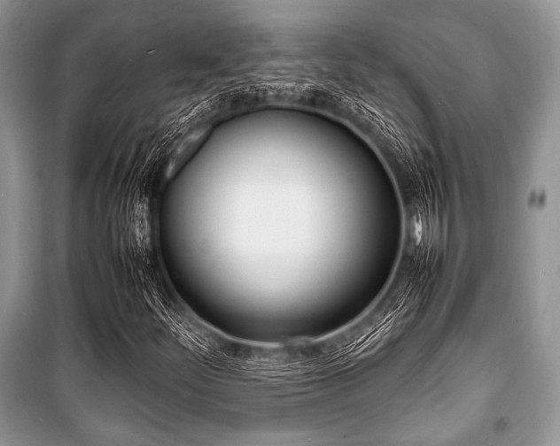 X0000100981252200806241534