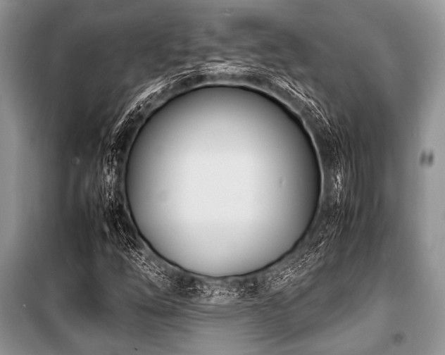X0000100981254200806241534