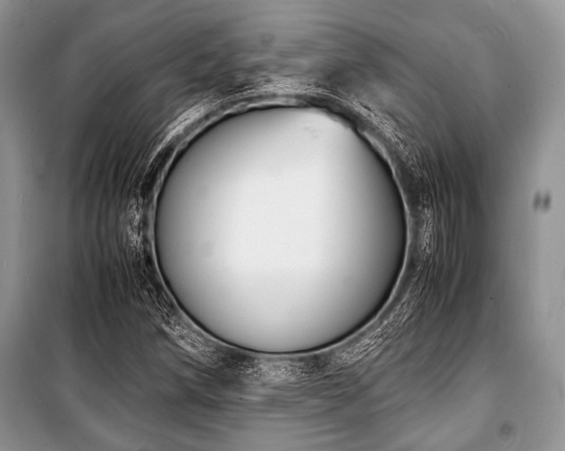 X0000100981258200806241534