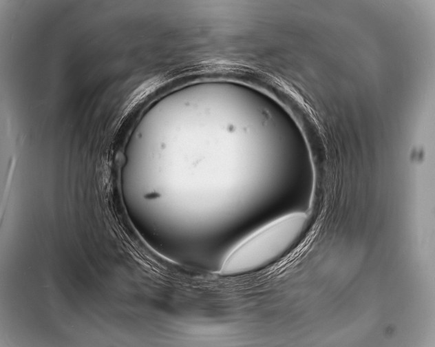 X0000100981259200806241534