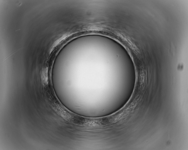 X0000100981262200806241534