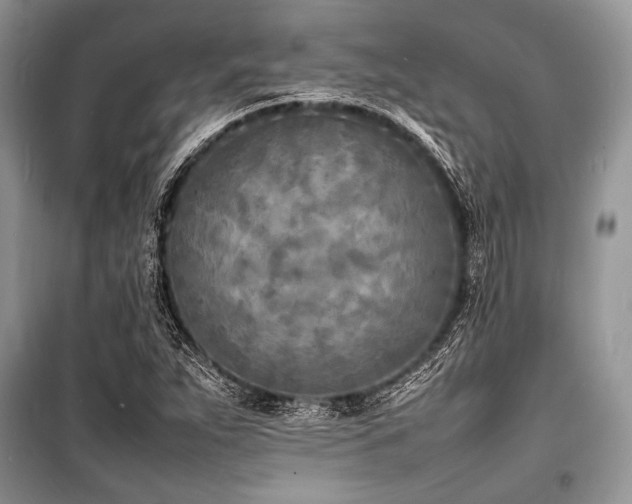 X0000100981263200806241534