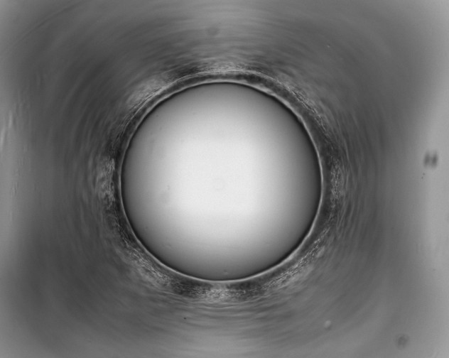 X0000100981265200806241534