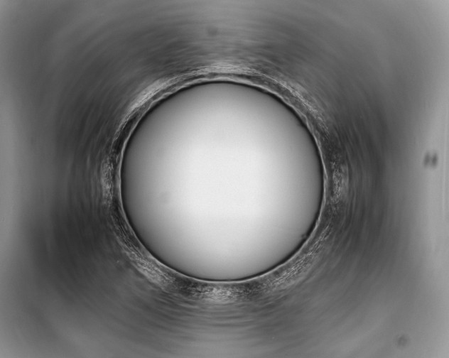 X0000100981266200806241534