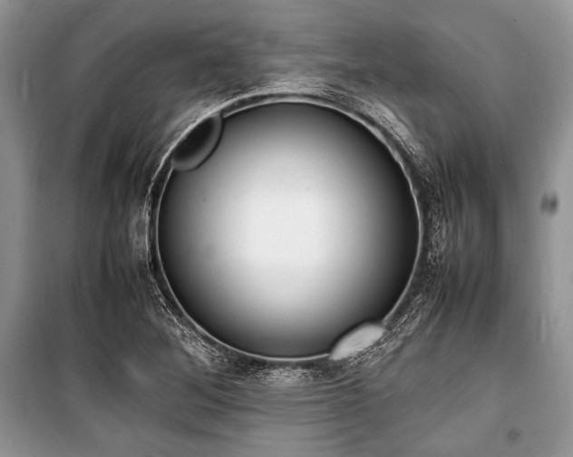 X0000100981268200806241534