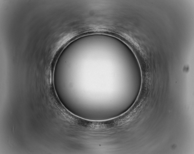 X0000100981269200806241534