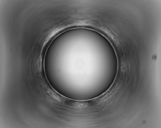 X0000100981270200806241534