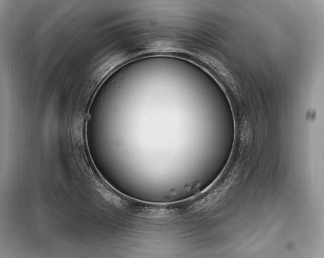 X0000100981273200806241534