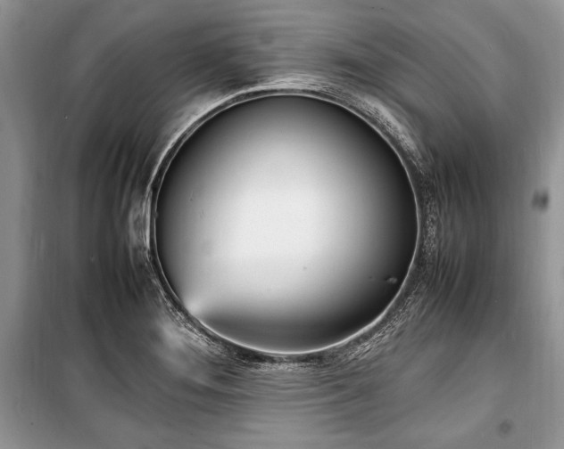 X0000100981276200806241534