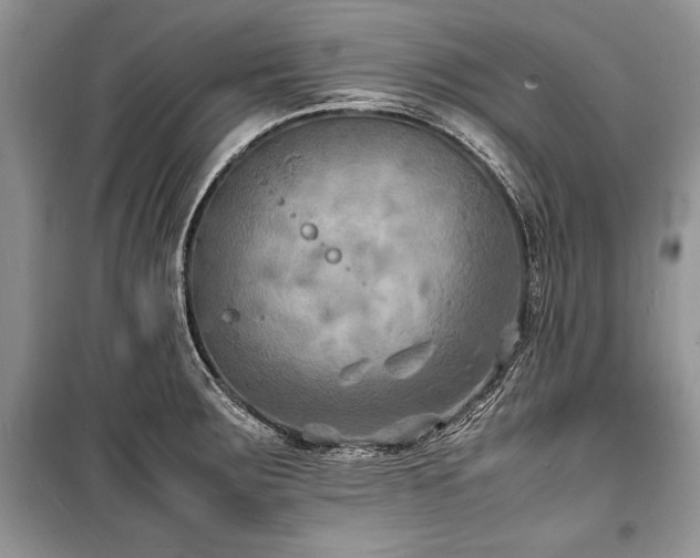 X0000100981283200806241534