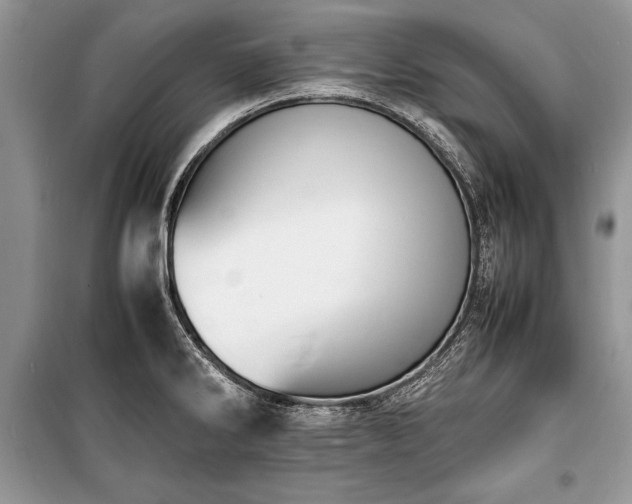 X0000100981286200806241534