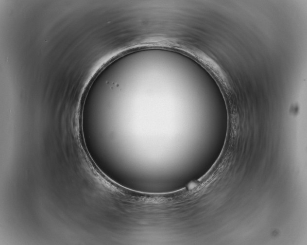 X0000100981288200806241534
