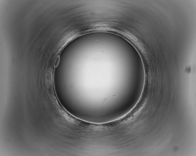 X0000100981289200806241534