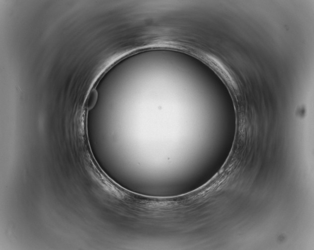 X0000100981292200806241534
