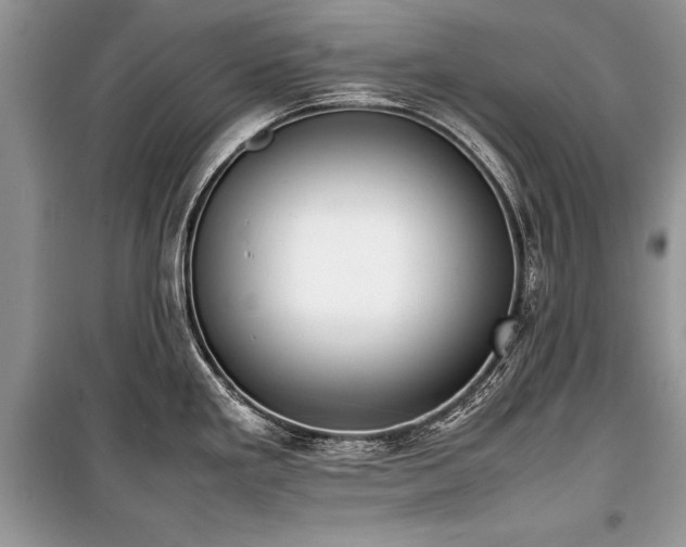 X0000100981293200806241533