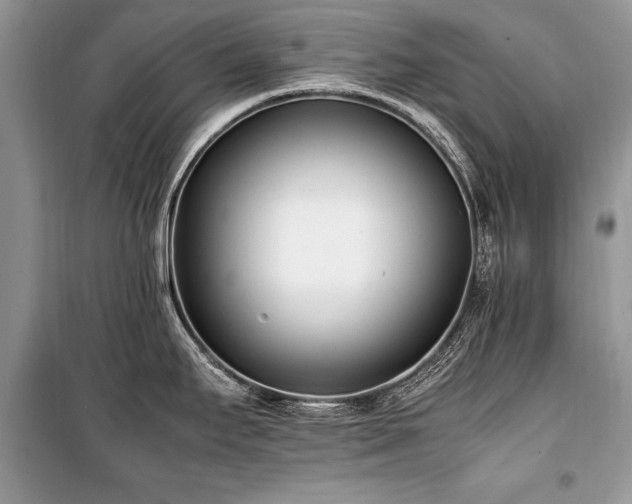 X0000100981295200806241533