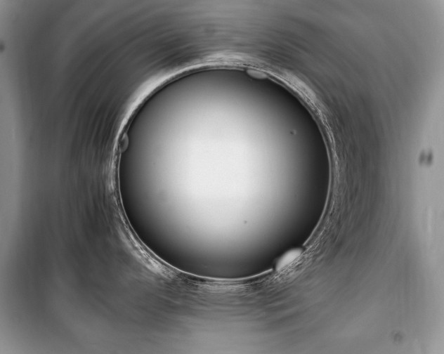 X0000100981296200806241533
