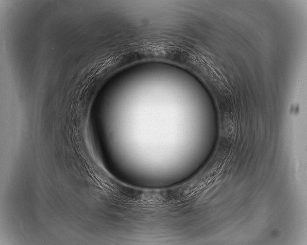 X0000100981297200806241533