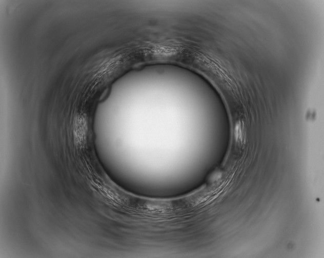 X0000100981299200806241533