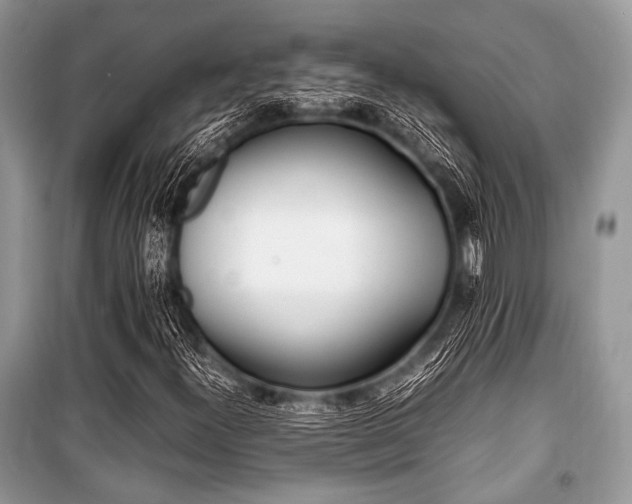 X0000100981300200806241533