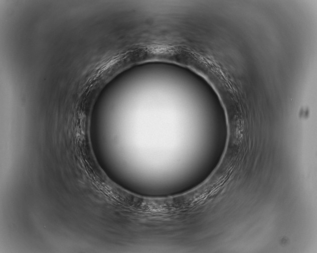 X0000100981301200806241533