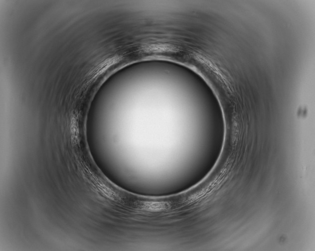 X0000100981305200806241533