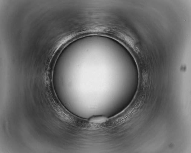 X0000100981308200806241533