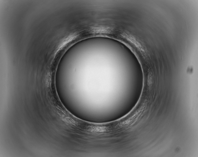 X0000100981309200806241533