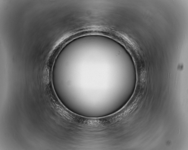X0000100981310200806241533