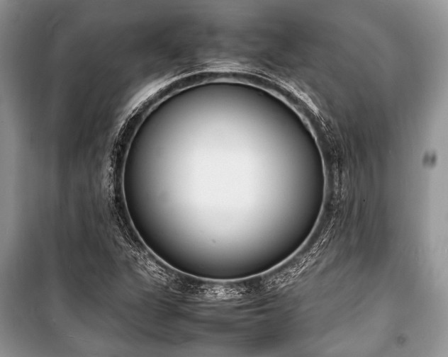 X0000100981311200806241533