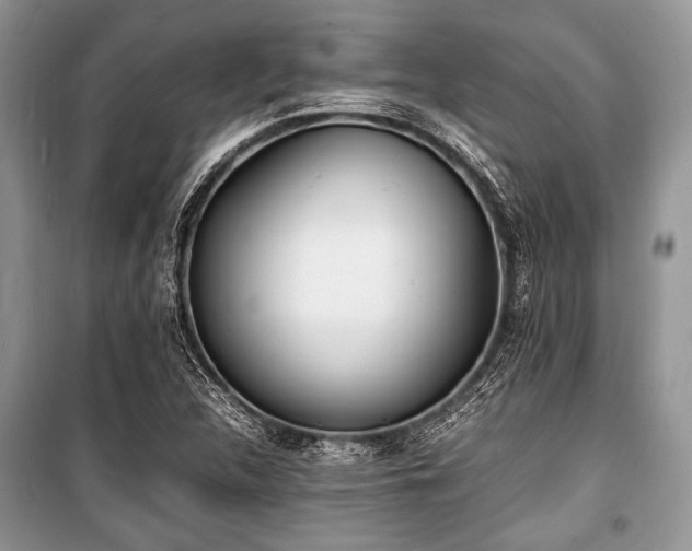 X0000100981312200806241533