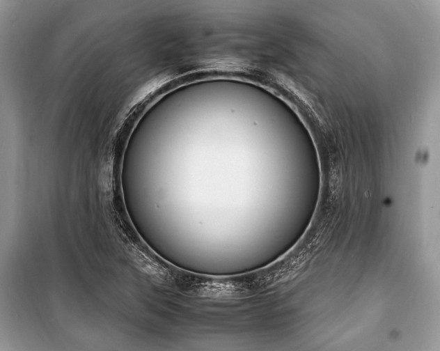 X0000100981315200806241533