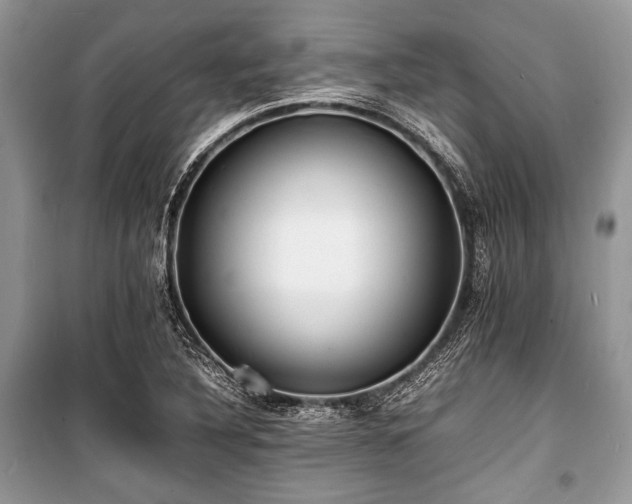 X0000100981316200806241533