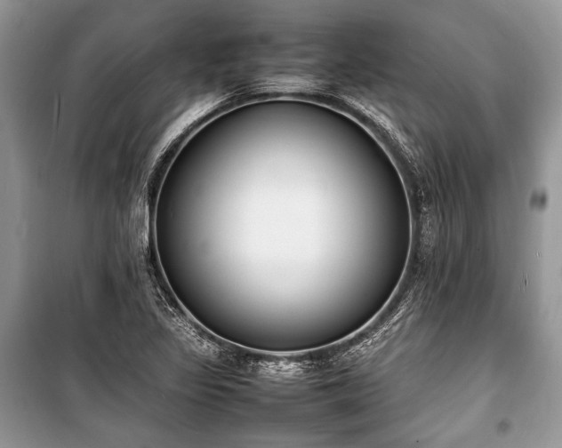 X0000100981317200806241533