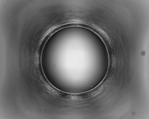 X0000100981318200806241533