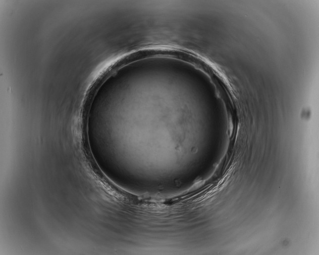 X0000100981319200806241533