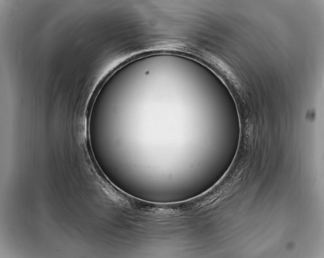 X0000100981324200806241533