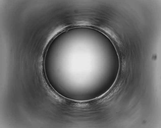 X0000100981325200806241533