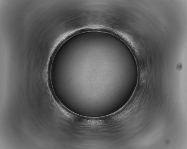 X0000100981327200806241533