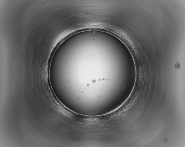 X0000100981328200806241533